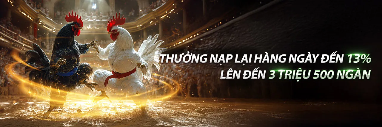 Đá gà trực tuyến Xbet Khuyến Mãi 2026